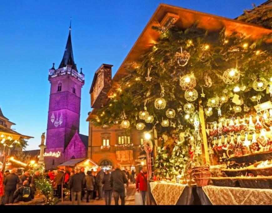 L'Appar'T - Centre Historique De Obernai Lejlighed Eksteriør billede
