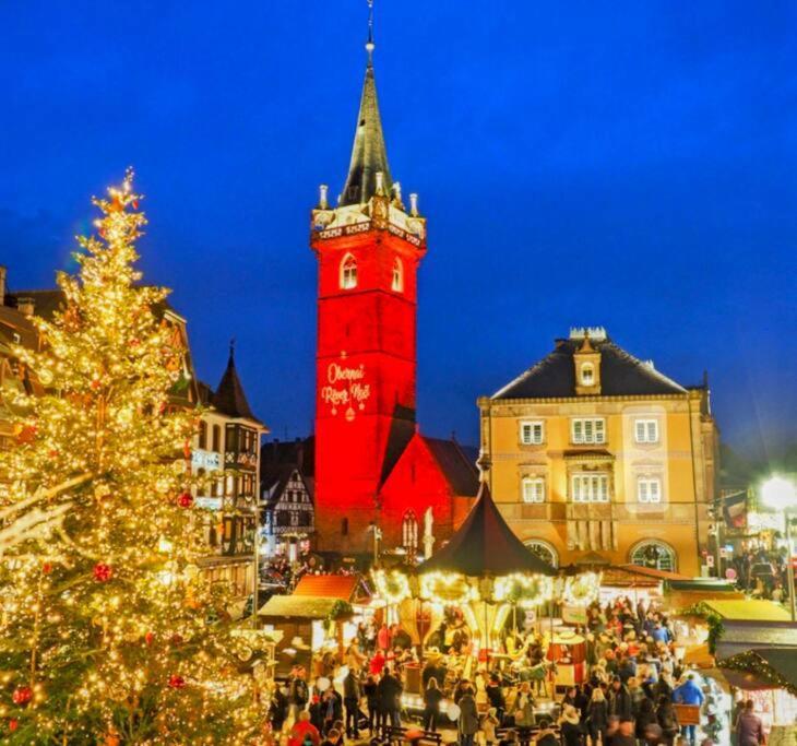 L'Appar'T - Centre Historique De Obernai Lejlighed Eksteriør billede