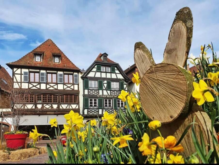 L'Appar'T - Centre Historique De Obernai Lejlighed Eksteriør billede