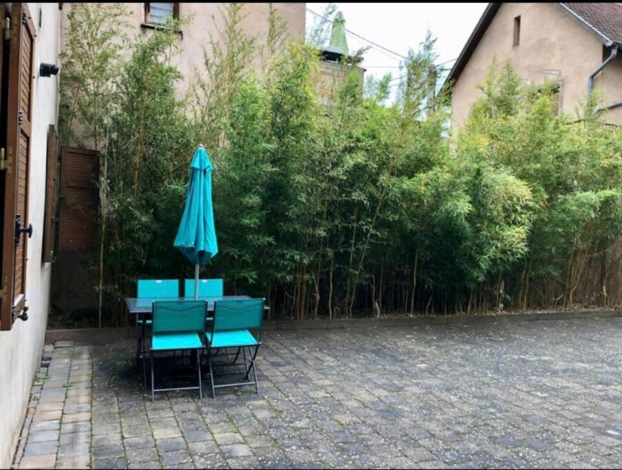 L'Appar'T - Centre Historique De Obernai Lejlighed Eksteriør billede