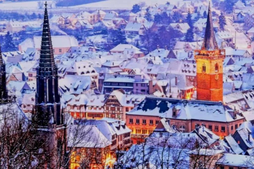 L'Appar'T - Centre Historique De Obernai Lejlighed Eksteriør billede