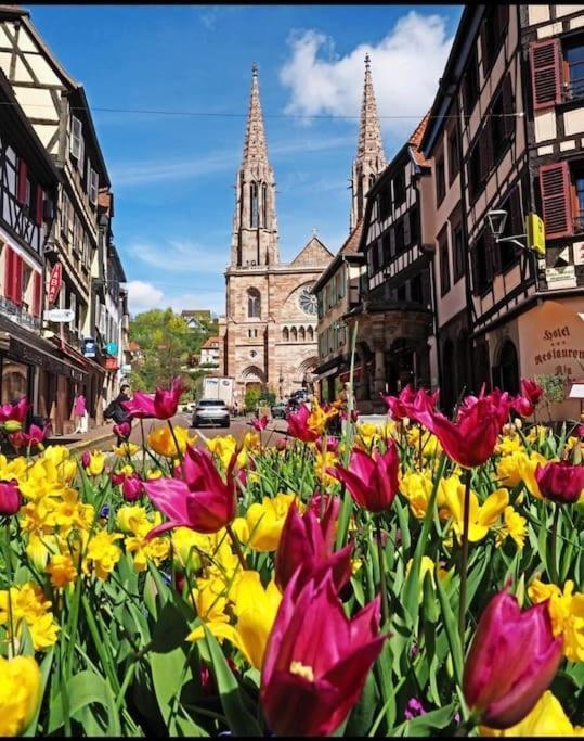 L'Appar'T - Centre Historique De Obernai Lejlighed Eksteriør billede